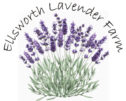 Ellsworth Lavender Farm